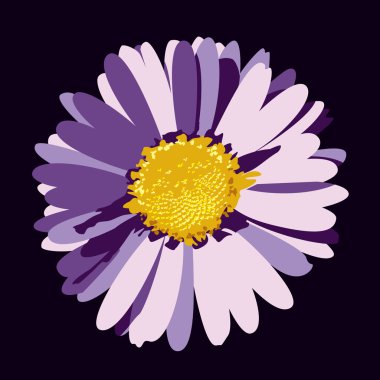 Daisy Flower Illustration. Vector Background. clipart