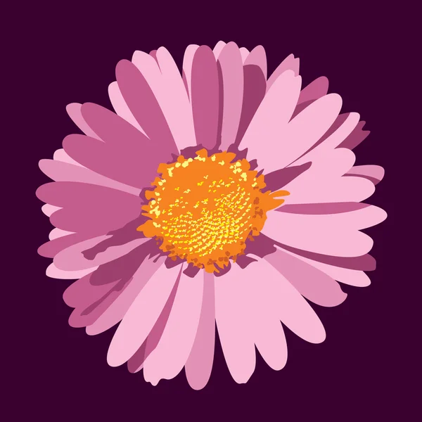 Daisy Flower Illustration (em inglês). Contexto do vetor . — Vetor de Stock