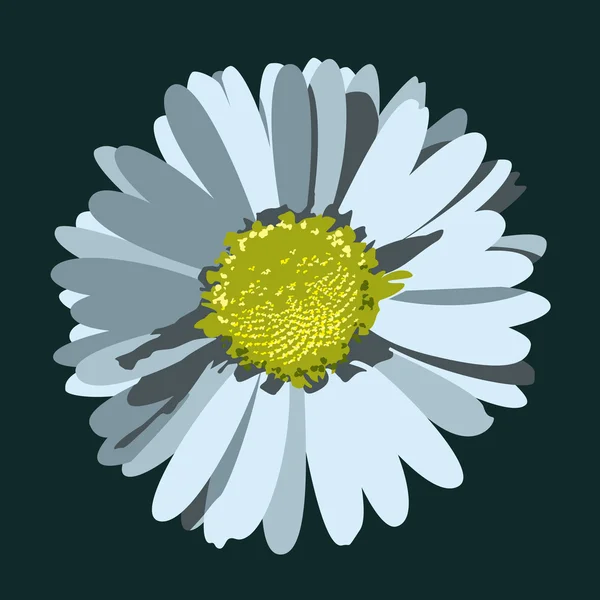 Daisy flower illustratie. vector achtergrond. — Stockvector
