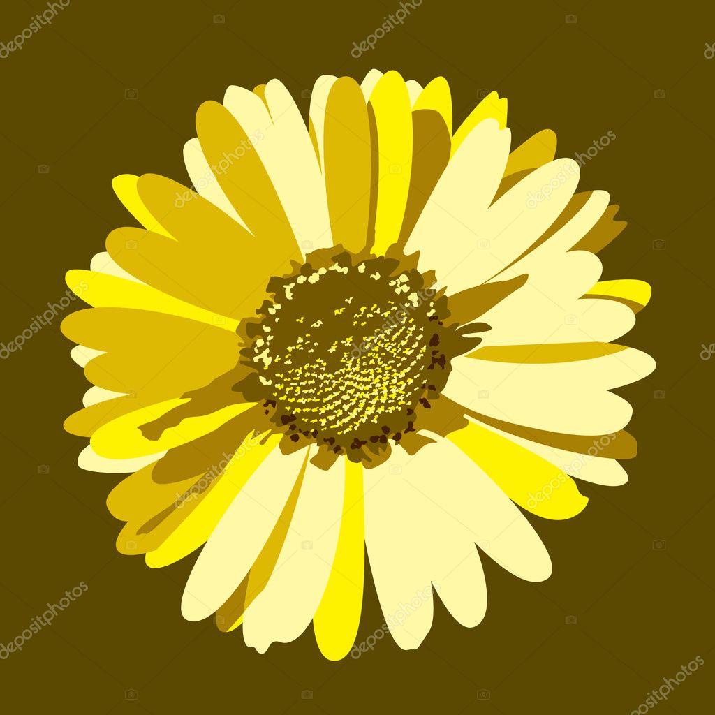 Daisy Flower Illustration. Vector Background. — Stock Vector © ZoyaArt