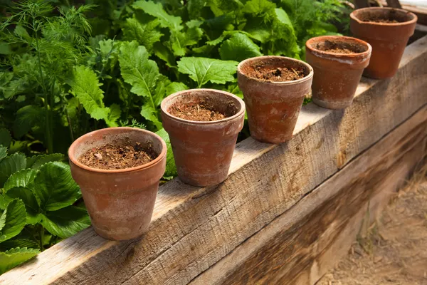 Terracotta pots with soil — Stock Photo, Image