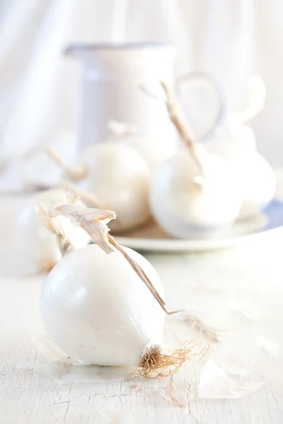 Cebolas brancas — Fotografia de Stock