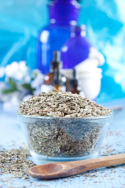 Dried dill seeds — Stock Photo, Image