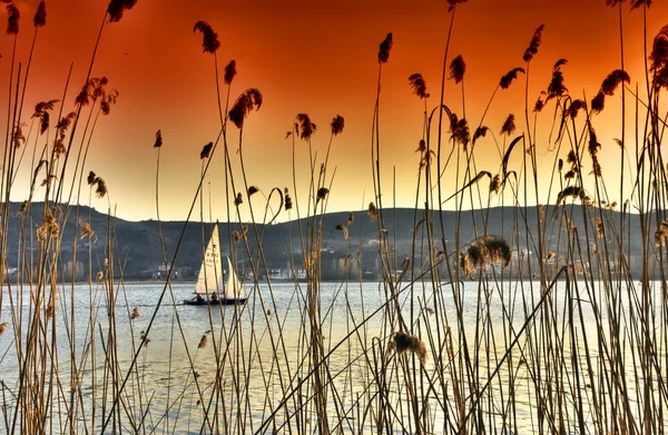 Modern sail boat at sunset time — Stock Photo, Image