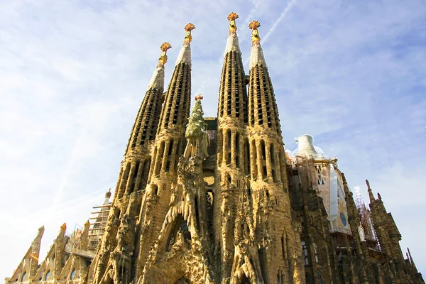 Sagrada familia vertikální panoramatický pohled Royalty Free Stock Fotografie