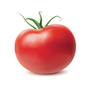 Tomato clipart