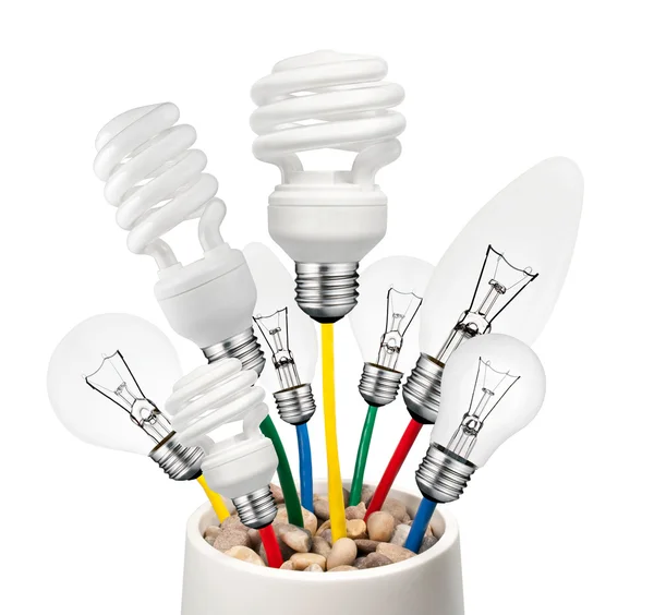 Idee - verschiedene Glühbirnen wachsen in einem Topf — Stockfoto