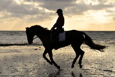 Silhouette of a Horse Rider Cantering on the Beach clipart