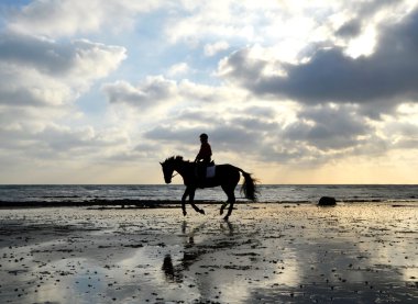 Silhouette of Horse Rider Galloping on the Beach clipart