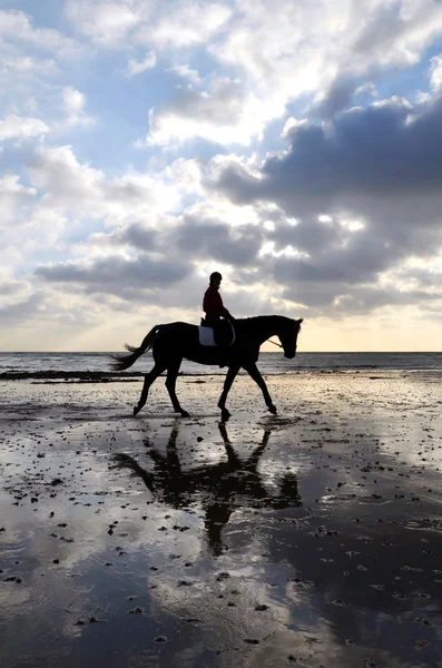 Silueta koně jezdce na pláži — Stock fotografie