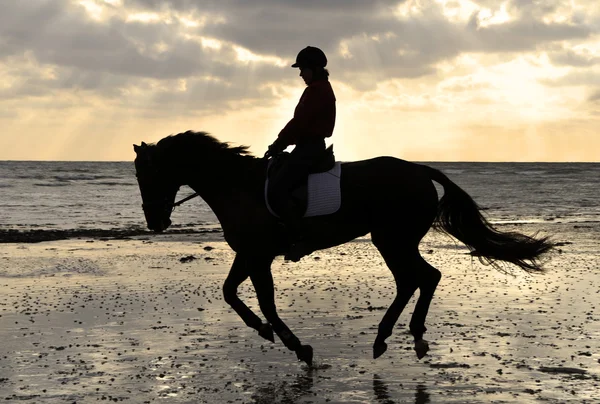 Silhouette d'un cavalier Cantering sur la plage — Photo