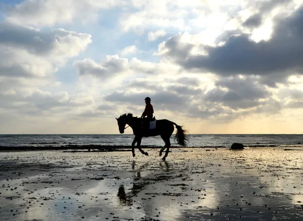 Silueta de jinete galopando en la playa — Foto de Stock