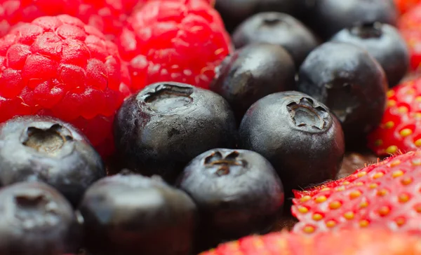 stock image Blueberry, Raspberry, Strawberry Macro Mix