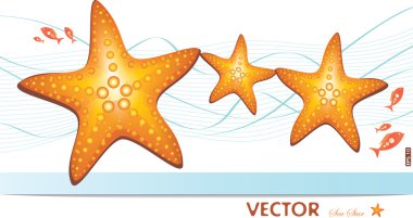 Happy family of sea-stars clipart