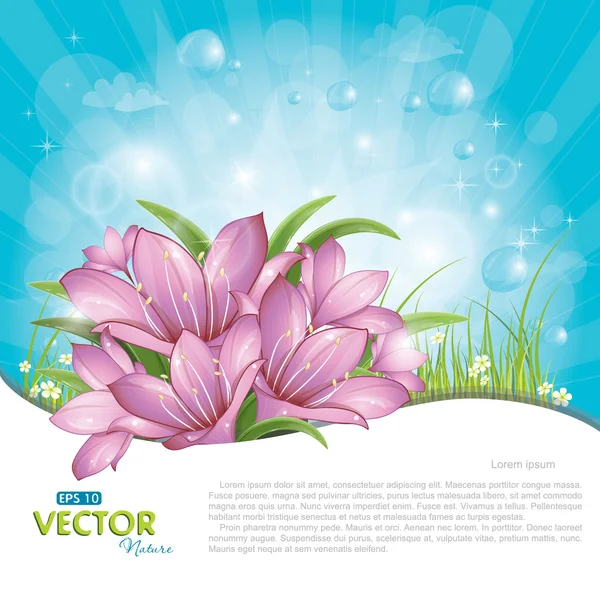 Pink lilies against blue sky — Stock Vector