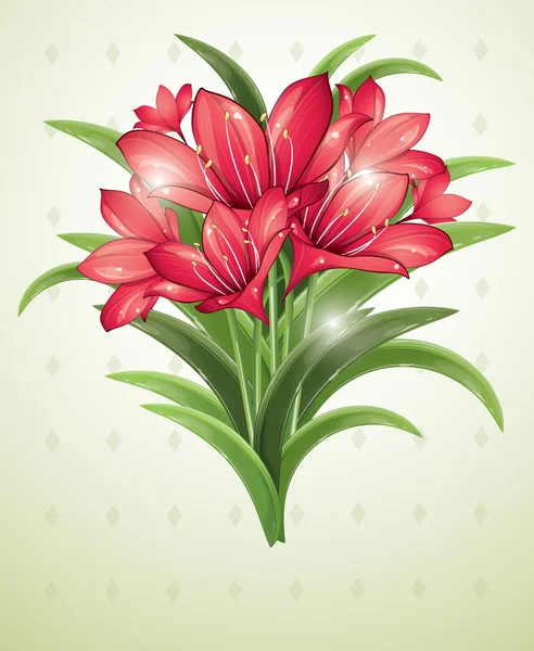 Bunch of red lilies — Stock Vector