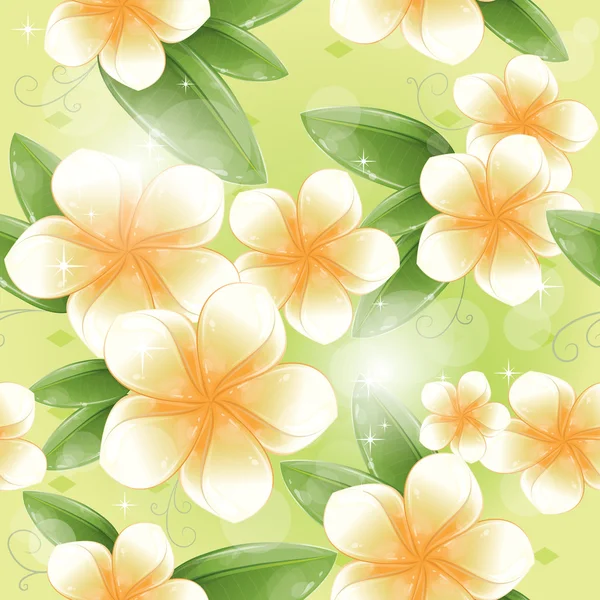 Patrón sin costuras - Flores de frangipani blancas — Vector de stock