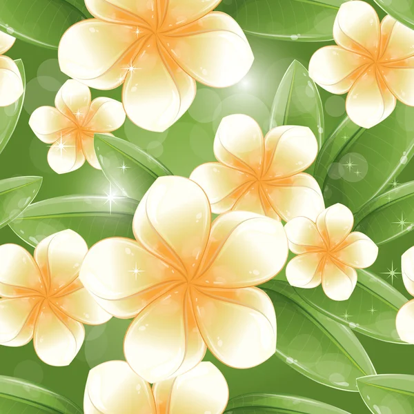 Seamless pattern - White frangipani flowers — Stock Vector