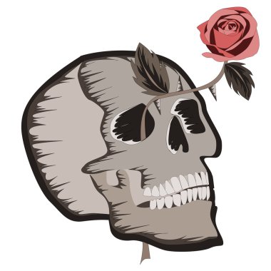 rose ile kafatası