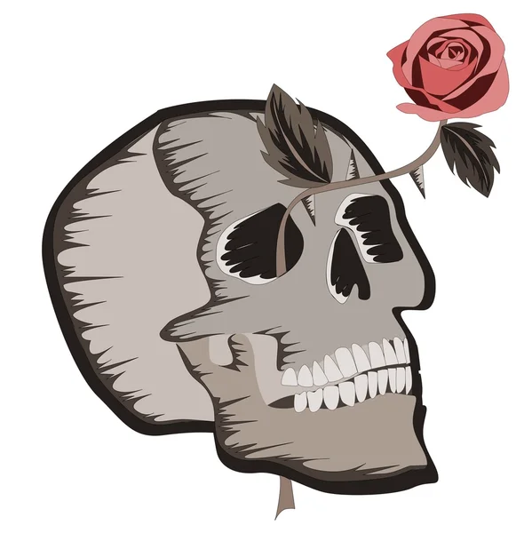 Totenkopf mit Rose — Stockvektor