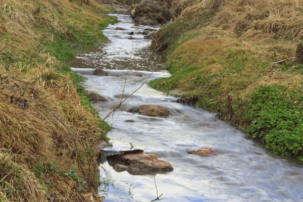 stock image Forest river