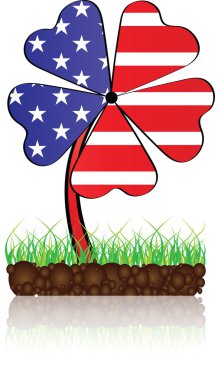 Amerikan yonca