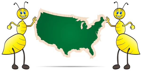 미국 지도 — 스톡 벡터