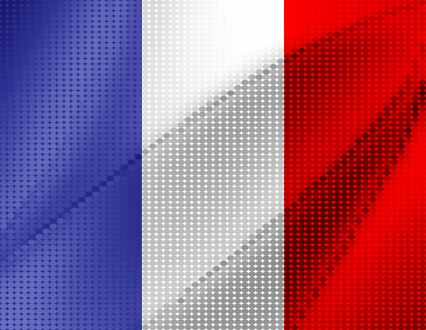 Bandiera della Francia — Vettoriale Stock
