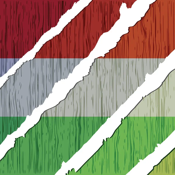 Bandera húngara textura de madera — Vector de stock