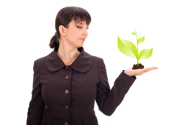 Zakenvrouw met groene plant — Stockfoto