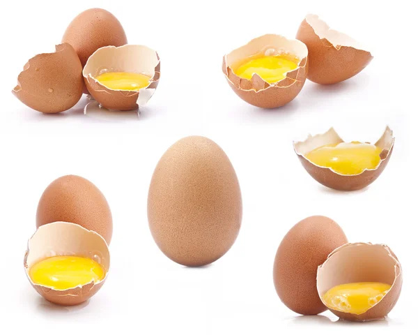 Raccolta delle uova — Foto Stock