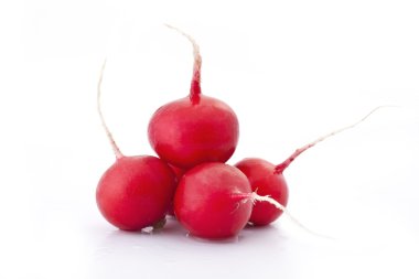 Composition of radish clipart