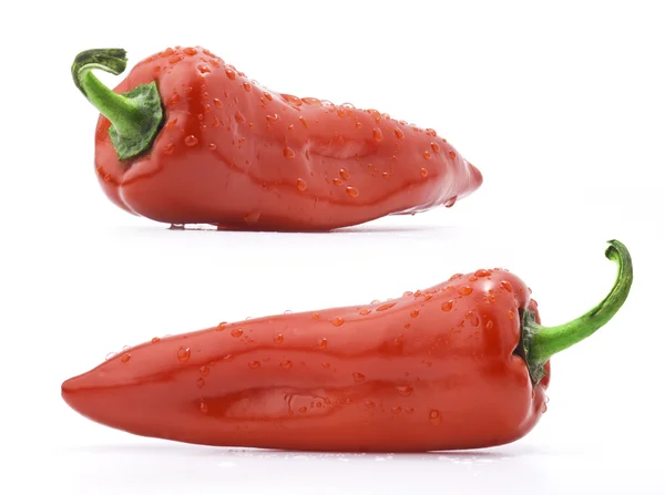 Paprika merah — Stok Foto