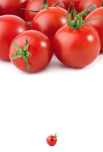 Conjunto de tomates —  Fotos de Stock