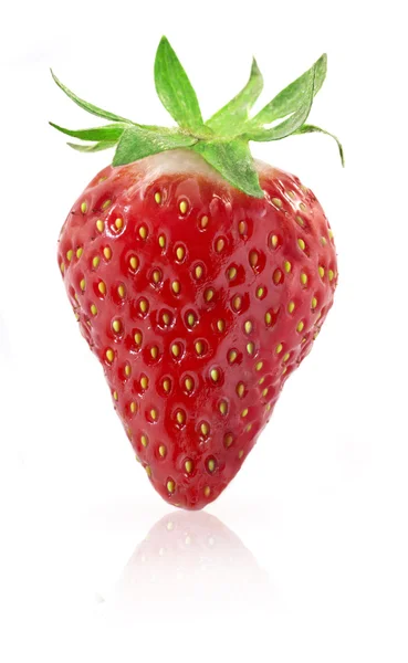 딸기 베리 — 스톡 사진