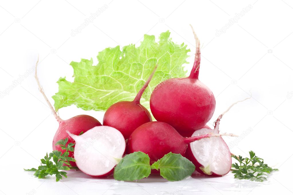 set of radish - 圖庫照片