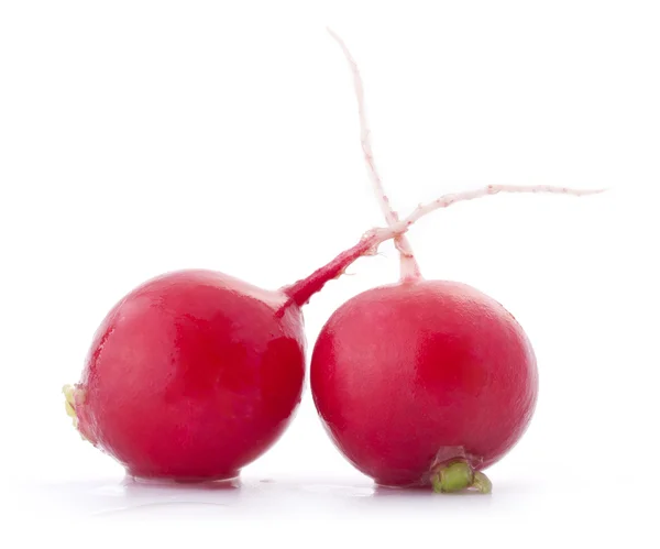 Två röda rädisor — Stockfoto