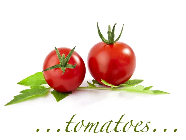 stock image Set of tomatoes