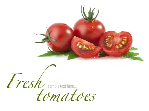 Tomatensatz — Stockfoto
