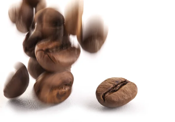 Grains de café sautant — Photo