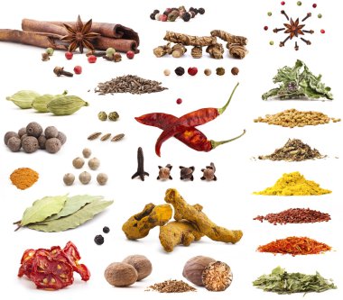 Collection of different spices and herbs clipart