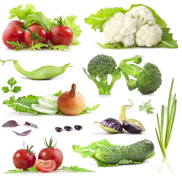 Sběr zeleniny — Stock fotografie