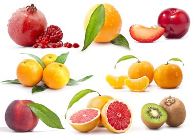 Fruit Collection clipart