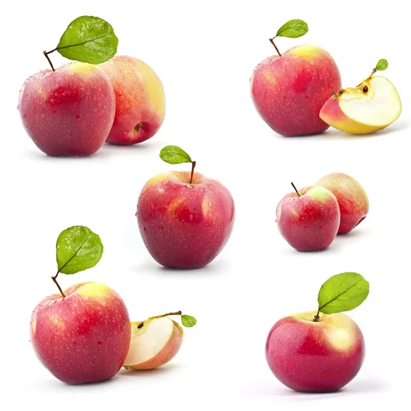 红苹果的集合 — 图库照片