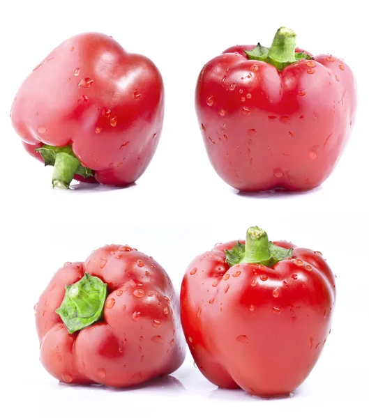 Samling av röd paprika — Stockfoto