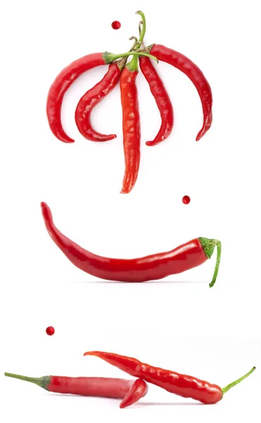 Collection red chili peppers — Stock Photo, Image