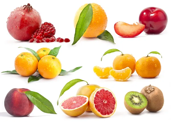 Fruit Collection — Stock Photo, Image