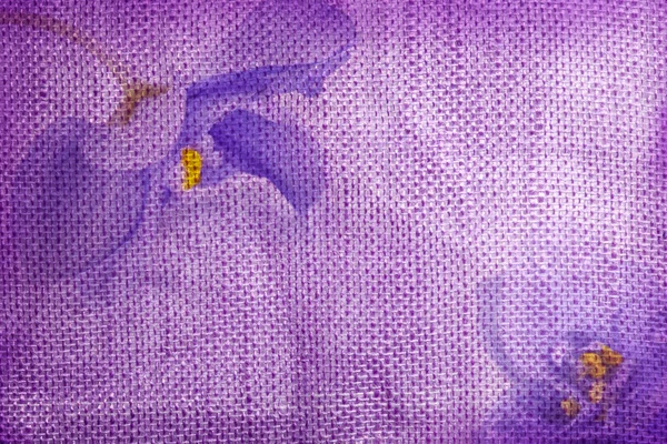 Flores de na textura do tecido — Fotografia de Stock