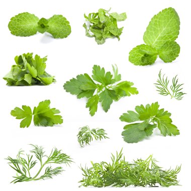 Collection of fresh herbs clipart