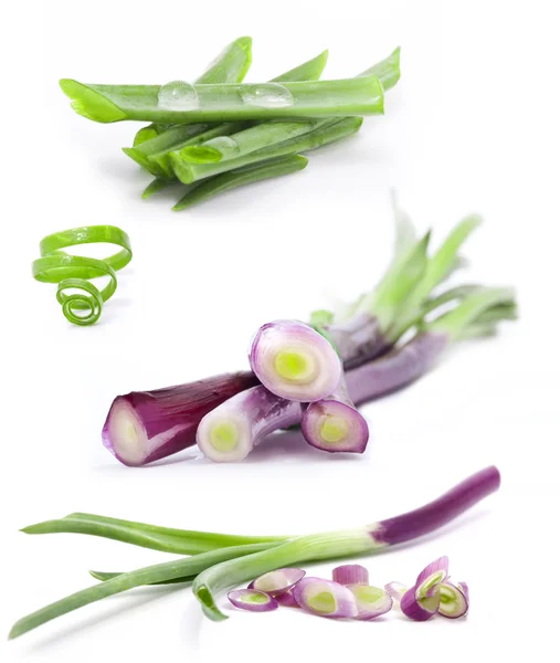 Collection of green onions — Stock Photo, Image
